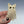 Meep Ghost