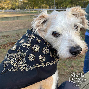 Monster Mandala Bandana